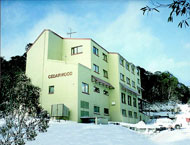 Cedarwood Apartments - Lismore Accommodation