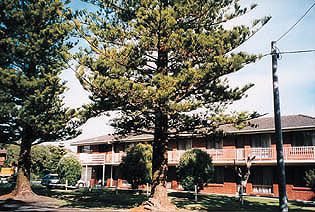 Eastern Beach Holiday Units - Coogee Beach Accommodation