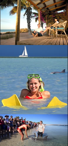 Monkey Mia Dolphin Resort - Accommodation Tasmania 0