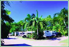 Tropical Hibiscus Caravan Park - Accommodation Main Beach 0