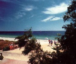 Acacia Caravan Park - Accommodation Main Beach 0