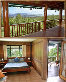 Atherton Blue Gum - Accommodation Cairns