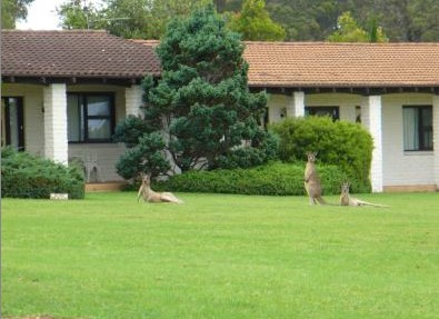 The Oaks Ranch & Country Club - Accommodation Burleigh 1