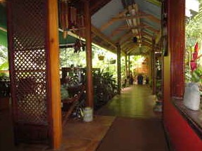 Daintree Rainforest Retreat Motel - Accommodation NT 2