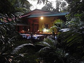 Daintree Rainforest Retreat Motel - Accommodation Find 4