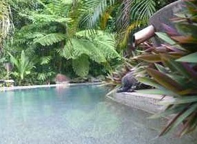 Daintree Rainforest Retreat Motel - Accommodation Fremantle 5