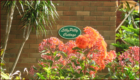 Lillypilly - Accommodation Nelson Bay