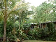 Kuranda Rainforest Accommodation Park - Accommodation Burleigh 3