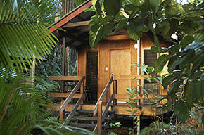 Cape Trib Beach House - Accommodation Redcliffe