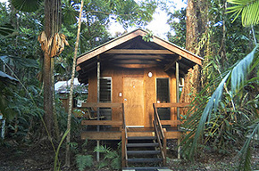 Cape Trib Beach House - Accommodation Find 3