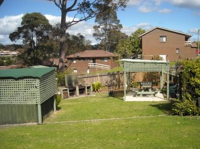 The Tree Motel - Accommodation Redcliffe