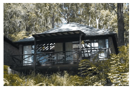 Treetops Resorts - Accommodation Whitsundays 2