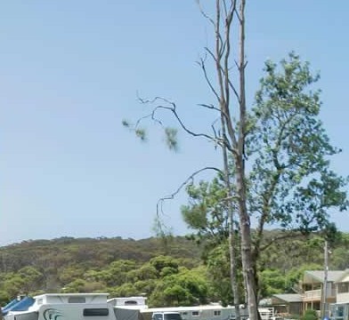 Merry Beach Caravan Park - Accommodation Fremantle 2