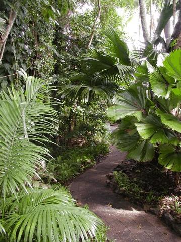 Rainforest Grove Holiday Resort - Accommodation Kalgoorlie 1