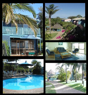 Pandanus Palms Resort - St Kilda Accommodation 1