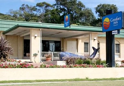 Comfort Inn Albany - Accommodation Cooktown