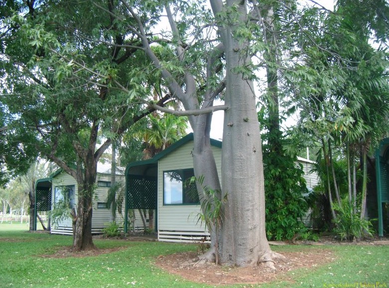 Kimberleyland Holiday Park - Accommodation Fremantle 3