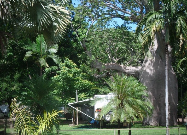 Kimberleyland Holiday Park - Accommodation Broome 5