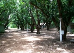 Daly River Mango Farm - Accommodation Fremantle 4