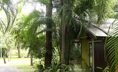Rum Jungle Bungalows - Accommodation Whitsundays 3