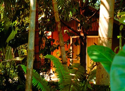 Rum Jungle Bungalows - Accommodation Airlie Beach 5