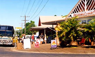 Mission Beach Rainforest Motel - Accommodation Redcliffe