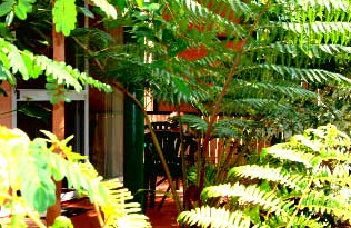 Mission Beach Rainforest Motel - Accommodation Port Macquarie 3