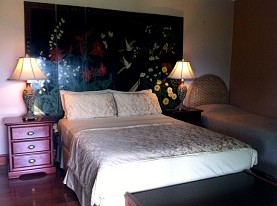 Daintree Manor - Accommodation Bookings 0