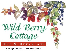 Wild Berry Cottage - Dalby Accommodation