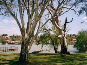 Shack 31 Bolto Reserve - Port Augusta Accommodation