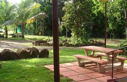 Virginia Heliconia Farm - Accommodation Airlie Beach