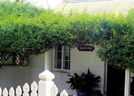 Peppertree Cottage Bed And Breakfast - Normanville - thumb 1