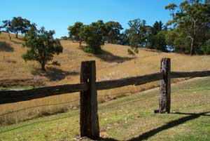 Adelaide Hills Country Cottages - Gum Tree Cottage - thumb 4