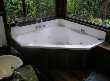 The Canopy Rainforest Tree Houses and Wildlife Sanctuary - Nambucca Heads Accommodation