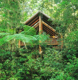 The Canopy Rainforest Tree Houses And Wildlife Sanctuary - thumb 5