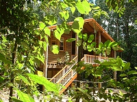Rivers Edge Rainforest Retreat - Accommodation Kalgoorlie