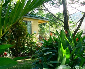 Daintree Valley Haven - Accommodation Sunshine Coast