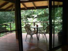 Cape Trib Exotic Fruit Farm Bed and Breakfast - Accommodation in Brisbane