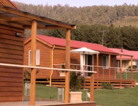 Maydena Country Cabins Accommodation & Alpaca Stud - thumb 0