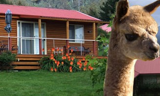 Maydena Country Cabins Accommodation & Alpaca Stud - thumb 1