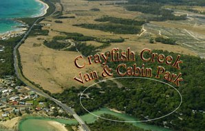 Crayfish Creek Van And Cabin Park And Spa House - thumb 1