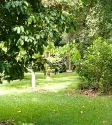 Kingfisher Park Birdwatchers Lodge - Accommodation Cooktown