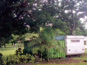 Cooktown Orchid Travellers Park - Yamba Accommodation