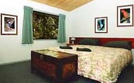 Chambers Wildlife Rainforest Lodges - Coogee Beach Accommodation 1