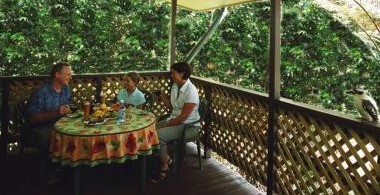 Chambers Wildlife Rainforest Lodges - Coogee Beach Accommodation 4