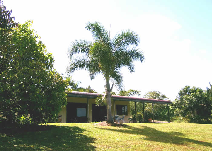 Daintree Mountain View Retreat and Vanilla Beans - Accommodation Bookings