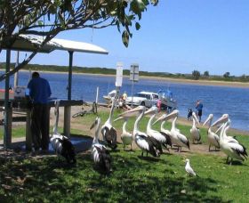 Mountain View Caravan and Mobile Home Village - Accommodation Yamba