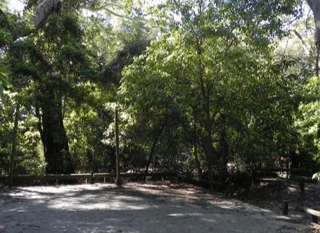 Booderee National Park Green Patch camping area - Accommodation Rockhampton