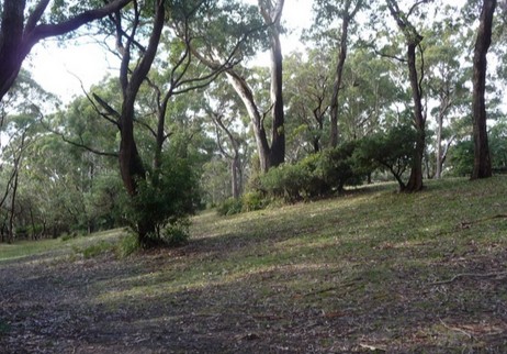 Booderee National Park: Green Patch Camping Area - thumb 3