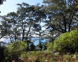 Booderee National Park: Bristol Point Camping Area - Dalby Accommodation 1